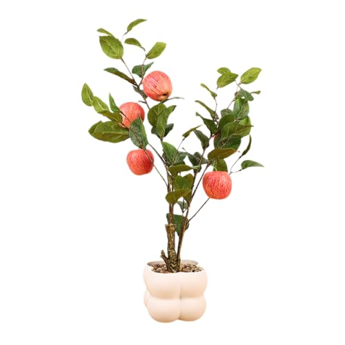 Dekoratives Obstbaummodell Simulierte Bonsais Realistische Topfpflanze Wohnzimmer Ornament Büro Schreibtisch Dekoration Kleine Bonsais Pflanze Dekoratives Obstbaummodell Simulierte Bonsais Realistische Topfpflanze Wohnzimmer Ornament Büro Schreibtisch Dekoration Kleine Bonsais Pflanze von Dasbsug