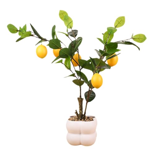 Dekoratives Obstbaummodell Simulierte Bonsais Realistische Topfpflanze Wohnzimmer Ornament Büro Schreibtisch Dekoration Kleine Bonsais Pflanze Dekoratives Obstbaummodell Simulierte Bonsais Realistische Topfpflanze Wohnzimmer Ornament Büro Schreibtisch Dekoration Kleine Bonsais Pflanze von Dasbsug