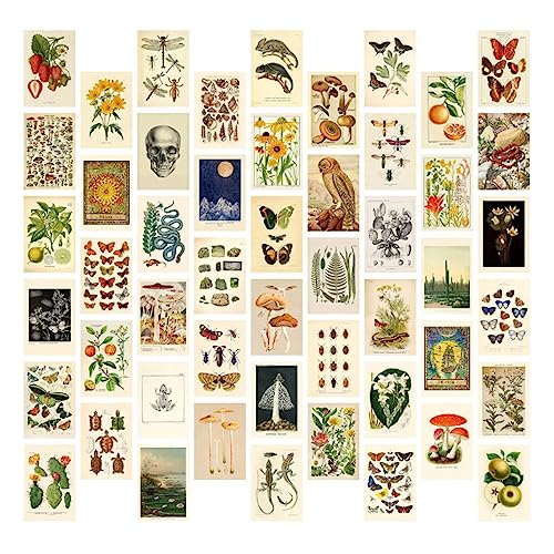 Dasing 50 Stück Vintage Botanical Wall Collage Kit, Vintage äSthetische Wand Collage Satz Mini Botanical Cottagecore Collage Kunst Poster (4X6 Zoll), für Trendige Fotowand von Dasing