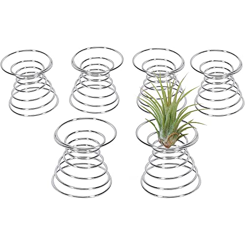 Dasing 6 Stück LLuftpflanzenhalter Edelstahl Luftpflanzen Tillandsia Halter Pflanzengefäße Luftpflanzen Hängenden Metall Halter ​Luft Ananas Basis von Dasing