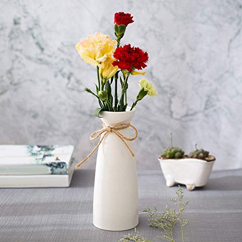 Dasing Keramik Vase Matt, WeißE Keramik Vase Minimalistischen, Moderne Innen Einrichtung Porzellan Vase Design für Modernes Tischregal, Heimdekoration von Dasing