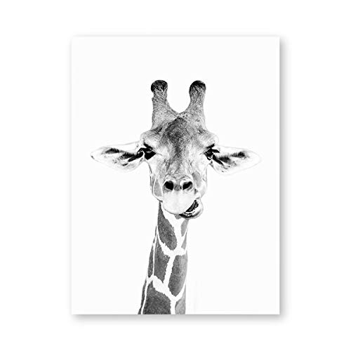 Giraffe Safari Wandkunst Leinwand Poster Druck Lustige Tier Schwarz-Weiß-Fotografie Wandmalerei, für Kinderzimmer Wanddekoration ohne Rahmen (Size : 60x80 cm No Frame) von Dass