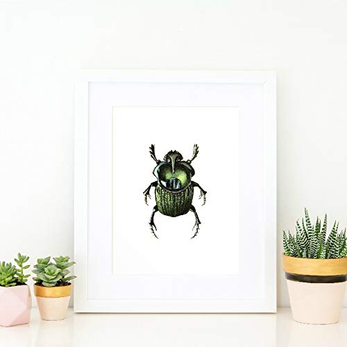 Green Käfer Wandkunst Leinwand Malerei Bild Insekt Taxidermie Illustration Poster und Drucke, für Kinderzimmer Home Wanddekor Kein Rahmen (Size : 11.8x15.7in(30x40cm) no frame) von Dass