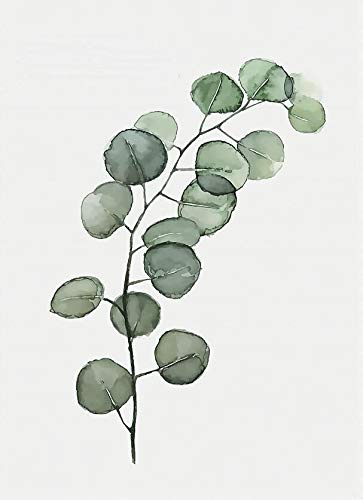 Leinwand-Malerei Monstera Blätter Grüne Pflanzen Nordic Poster und Drucke, Moderne Kunst Büro Kinderzimmer Dekoration Malerei No Frame (Size : 60X80cm no Frame) von Dass