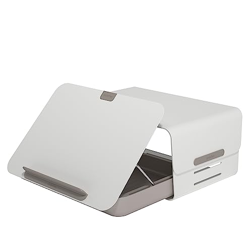 Dataflex Bento® Ergonomisches Schreibtischset 220 Weiß - Verstellbarer Monitorträger mit 20kg Belastbarkeit, inklusive Bento® Toolbox als Laptophalter, Tablet, Dokumentenhalter und persönliche Ablage von Dataflex