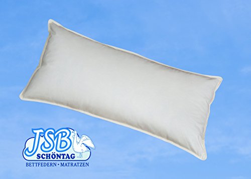 Kopfkissen 40x80 mit XXL Füllung 700 gr. 85% Federn 15% Daunen Made in Germany Garantiert Keine Lebendrupf (Farbe: beige 40x80 700 gr.) von Daunenbettenfabrik