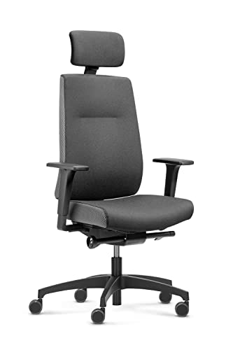 Dauphin Indeed Performance, ergonomischer Bürostuhl mit tiefenverstellbarer Lordosenstütze, höhenverstellbarer Kopfstütze, 2F-Armlehnen, ergonomischer Drehstuhl (Polsterrückenlehne, mit Kopfstütze) von Dauphin