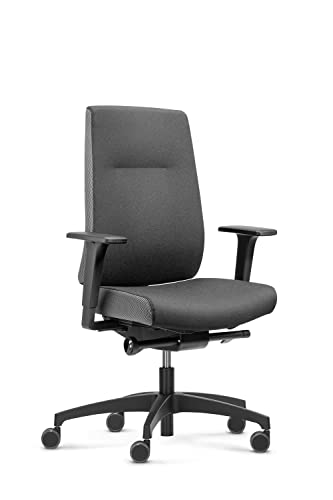 Dauphin Indeed Performance, ergonomischer Bürostuhl mit tiefenverstellbarer Lordosenstütze, höhenverstellbarer Kopfstütze, 2F-Armlehnen, ergonomischer Drehstuhl (Polsterrückenlehne, ohne Kopfstütze) von Dauphin