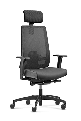 Dauphin Indeed Performance, ergonomischer Bürostuhl mit tiefenverstellbarer Lordosenstütze, höhenverstellbarer Kopfstütze, 2F-Armlehnen, ergonomischer Drehstuhl (Netzrückenlehne, mit Kopfstütze) von Dauphin