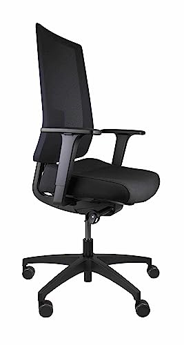 Dauphin Indeed ergonomischer Bürostuhl Drehstuhl Schreibtischstuhl mit Bandscheibensitz, rückenschonend, 150kg, hohe Rückenlehne, ideal für Homeoffice und Büro (Netzrücken) von Dauphin