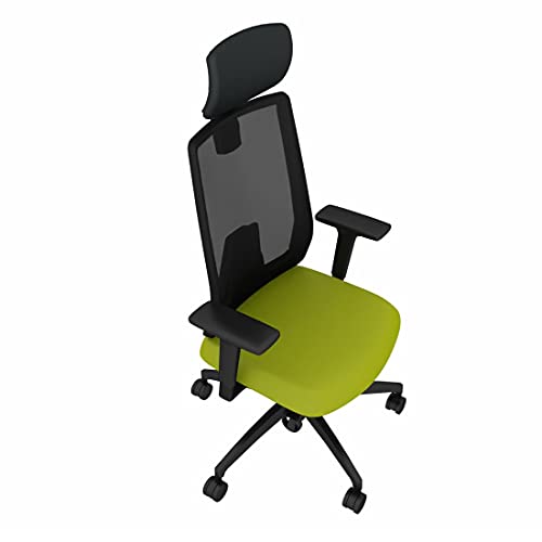 Dauphin Indeed nachhaltiger Bürostuhl, Individualisierbar, ergonomisch, leichtes Gewicht (Fabio: Hellgrün, Netzrücken mit Nackenstütze) von Dauphin