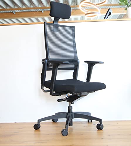 Dauphin Lordo Motionflex, ergonomischer Bürostuhl/Schreibtischstuhl, individuell anpassbar, (schwarz), hohe Rückenlehne mit integrierter Nackenstütze von Dauphin