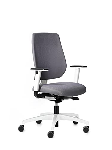 Dauphin Speed-o Comfort, ergonomischer Bürostuhl für das Homeoffice, höhenverstellbare Armlehnen, automatische Gewichtsanpassung (weiß | grau) von Dauphin