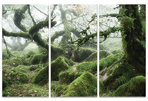 David Clapp WDCT93234 Leinwanddruck, Mehrfarbig, 100 x 150 cm von David Clapp