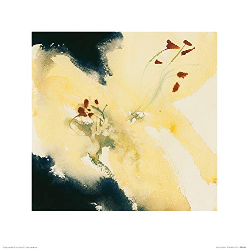 David Ross Kunstdrucke, Papier, Mehrfarbig, 40 x 40 cm von David Ross