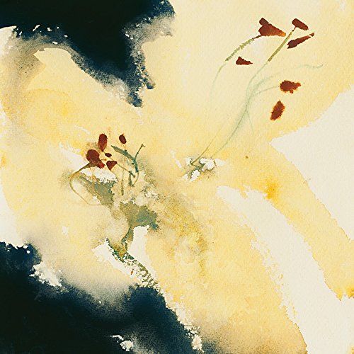David Ross Leinwanddruck, Polyester, Mehrfarbig, 40 x 40 cm von David Ross