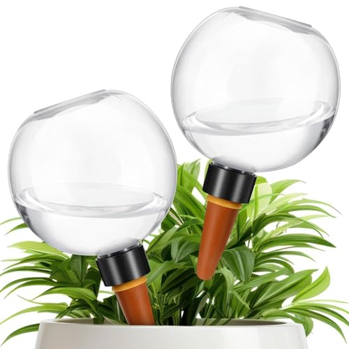 Bewässerungskugeln Pflanzen, 2 Stück 500ml Automatische Pflanzen Bewässerung, Transparente Bewässerungskugel Blumentopf Wasserspender Zur Automatischen Bewässerung Von Zimmer Balkon Und Gartenpflanzen von Davivian