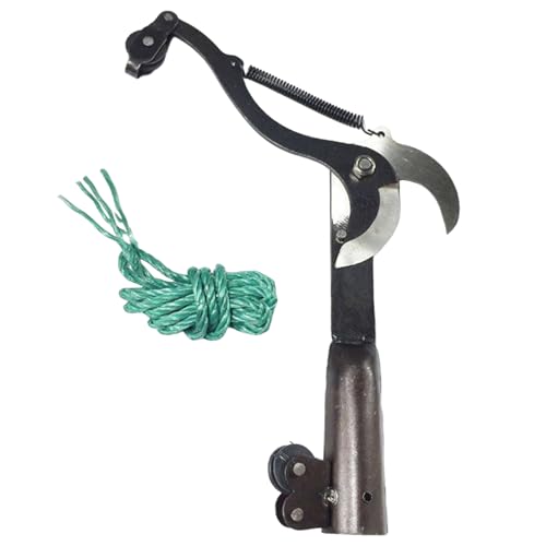 Davivian Baumschere, Robuste Gartenschere Mit Ergonomischem Griff, Bonsai-Pflegewerkzeug Mit Exakter Schnittführung & Ergonomischem Griff Für Gartenbau, Obstbaumpflege Und Veredelung Davivian Baumschere, Robuste Gartenschere Mit Ergonomischem Griff, Bonsai-Pflegewerkzeug Mit Exakter Schnittführung & Ergonomischem Griff Für Gartenbau, Obstbaumpflege Und Veredelung von Davivian