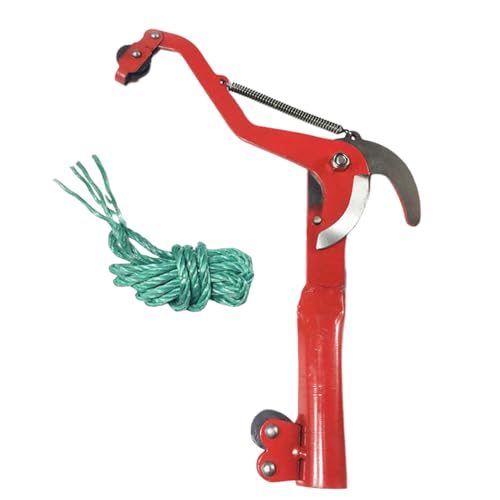 Davivian Hand Pruners | Robuste Gartenschere Mit Ergonomischem Griff,Bonsai-Pflegewerkzeug Mit Exakter Schnittführung & Ergonomischem Griff Für Gartenbau, Obstbaumpflege Und Veredelung Davivian Hand Pruners | Robuste Gartenschere Mit Ergonomischem Griff,Bonsai-Pflegewerkzeug Mit Exakter Schnittführung & Ergonomischem Griff Für Gartenbau, Obstbaumpflege Und Veredelung von Davivian