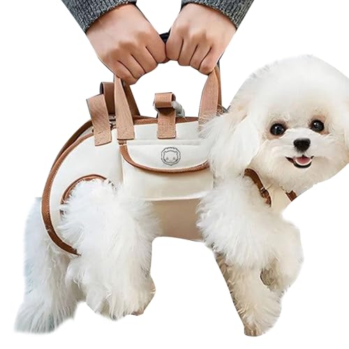 Davivian Hund Rucksack,Welpen Rucksack Träger Mit Leckerli-Fach - Verstellbare Unterwegs Tasche Tragbare Haustier Transport Ausrüstung Für Reisen Training Spazieren Camping Täglich Indoor Outdoor von Davivian