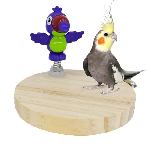 Davivian Sitzstange Für Papageien - Kauspielzeug Für Ziervögel | Beschäftigungs Spielzeug Mit Natur Anti-Rutsch Für Hühner Conure, Innen Außen Spielplatz von Davivian