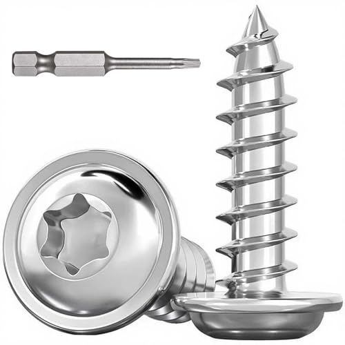 Dayalo 30 Stück Blechschrauben Torx M5 x 10mm, Blechschrauben Edelstahl A2 V2A, Linsenkopfschrauben Holz, Selbstschneidende Schrauben mit Scheibe, mit Schraubendreher Bit, Vollgewinde Dayalo 30 Stück Blechschrauben Torx M5 x 10mm, Blechschrauben Edelstahl A2 V2A, Linsenkopfschrauben Holz, Selbstschneidende Schrauben mit Scheibe, mit Schraubendreher Bit, Vollgewinde von Dayalo