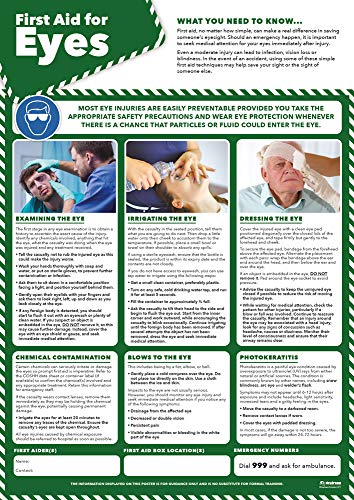 Daydream Education „First Aid for Eyes“-Poster (englische Version) von Daydream Education