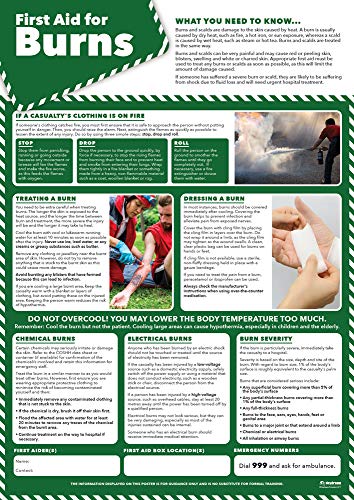 Daydream Education „First Aid for Burns“-Poster (englische Version) von Daydream Education