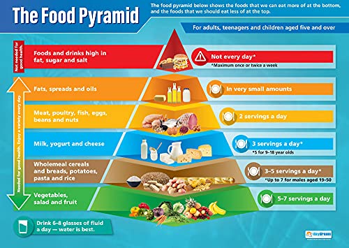 Daydream Education Lernposter „Food Pyramid“ (Lebensmittelpyramide), Hochglanzpapier, 850 x 594 mm (A1), Wissenschaftsposter für Klassenzimmer, Lehrposter, englische Version von Daydream Education