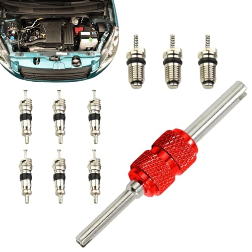 Dayysiuy AC Ventil Kit | Werkzeuge für die Reparatur von Auto Klimaanlagen,Präzisionsset Mit 10 Ventilkernen Für Kfz-Klimaanlagen Und Wohnmobile von Dayysiuy
