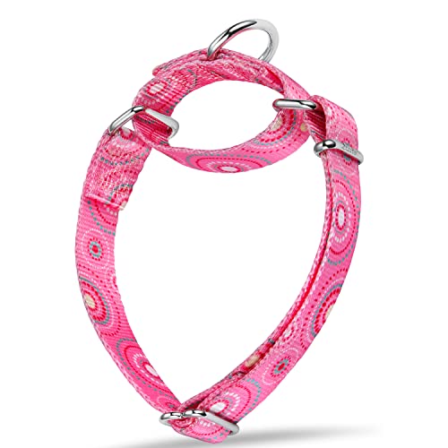 Dazzber Martingal Halsbänder für Hunde, Einstellbar-Heavy Duty- Weiche-Glatte-Leichtes Gehen Sie den Hund für Große/Klein Hunde (Mittlere, 2.5cm Breit, Süßigkeits-Rosa) von Dazzber