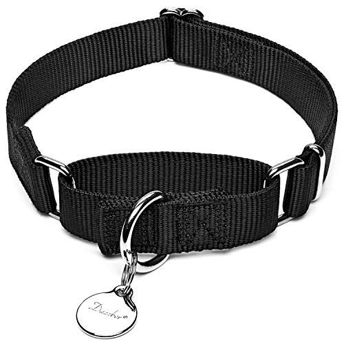 Dazzber Martingal Halsbänder für Hunde, Verstellbar Langlebig Kein Escape Stop Ziehen Hundehalsband Nylon für Große/Mittlere/Kleine Hunde (L, Schwarz) von Dazzber