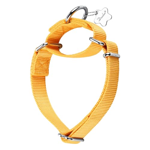 Dazzber Martingal Halsbänder für Hunde, Verstellbar Langlebig Kein Escape Stop Ziehen Hundehalsband Nylon für Große/Mittlere/Kleine Hunde (M(36cm-53cm), Helles Gelb) von Dazzber