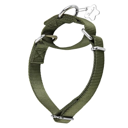 Dazzber Martingal Halsbänder für Hunde, Verstellbar Langlebig Kein Escape Stop Ziehen Hundehalsband Nylon für Große/Mittlere/Kleine Hunde (M(36cm-53cm), Militärgrün) von Dazzber