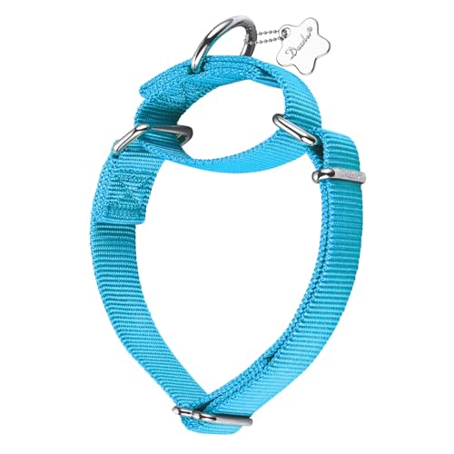 Dazzber Martingal Halsbänder für Hunde, Verstellbar Langlebig Kein Escape Stop Ziehen Hundehalsband Nylon für Große/Mittlere/Kleine Hunde (M(36cm-53cm), Türkis) von Dazzber