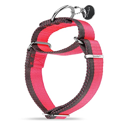 Dazzber Martingal Halsbänder für Mittel/Große Hunde 4cm Breites, Extra Starkes, Verstellbar, Hohe Farbechtheit- Nylon 2 Farbe Gestreift Weit Hundehalsband (Heißes Rosa & Grau, Extra groß, 4cm Breit) Dazzber Martingal Halsbänder für Mittel/Große Hunde 4cm Breites, Extra Starkes, Verstellbar, Hohe Farbechtheit- Nylon 2 Farbe Gestreift Weit Hundehalsband (Heißes Rosa & Grau, Extra groß, 4cm Breit) von Dazzber