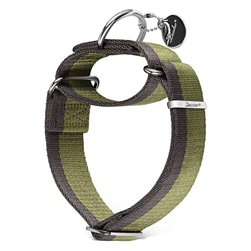 Dazzber Martingal Halsbänder für Mittel/Große Hunde 4cm Breites, Extra Starkes, Verstellbar, Hohe Farbechtheit- Nylon 2 Farbe Gestreift Weit Hundehalsband (Militärgrün & Grau, Extra groß, 4cm Breit) Dazzber Martingal Halsbänder für Mittel/Große Hunde 4cm Breites, Extra Starkes, Verstellbar, Hohe Farbechtheit- Nylon 2 Farbe Gestreift Weit Hundehalsband (Militärgrün & Grau, Extra groß, 4cm Breit) von Dazzber