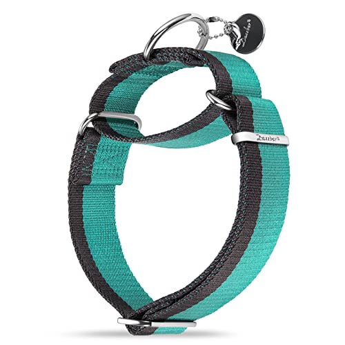 Dazzber Martingal Halsbänder für Mittel/Große Hunde 4cm Breites, Extra Starkes, Verstellbar, Hohe Farbechtheit- Nylon 2 Farbe Gestreift Weit Hundehalsband (Mintblau & Grau, Extra groß, 4cm Breit) Dazzber Martingal Halsbänder für Mittel/Große Hunde 4cm Breites, Extra Starkes, Verstellbar, Hohe Farbechtheit- Nylon 2 Farbe Gestreift Weit Hundehalsband (Mintblau & Grau, Extra groß, 4cm Breit) von Dazzber