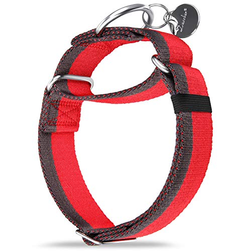 Dazzber Martingal Halsbänder für Mittel/Große Hunde 4cm Breites, Extra Starkes, Verstellbar, Hohe Farbechtheit- Nylon 2 Farbe Gestreift Weit Hundehalsband (Rot & Grau, Extra groß, 4cm Breit) von Dazzber