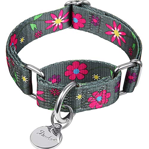 Dazzber Martingale Halsband mit Blumendruck, Hundehalsband, kein Ziehen, strapazierfähig, verstellbar, Größe S, Halsumfang 25,4 - 38,1 cm, Sonnenblumen (Graphitgrau) von Dazzber