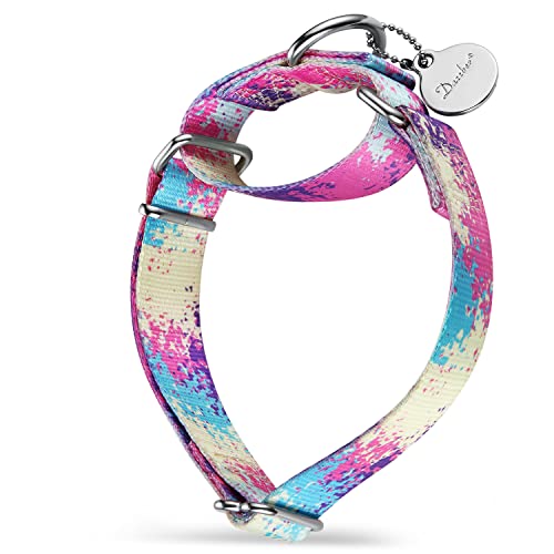 Dazzber Martingale Hundehalsbänder Bunte Ölgemälde Muster Serie - No Pull Haustierhalsband Seidig weich für mittlere und große Hunde (Klein, 1,5 cm breit, Überfluss Bunt) von Dazzber