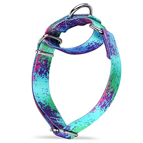 Dazzber Martingale Hundehalsbänder Bunte Ölgemälde Muster Serie - No Pull Haustierhalsband Seidig weich für mittlere und große Hunde (Mittel, 2,5 cm breit, Ökologie-Oase) von Dazzber