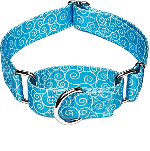 Dazzber Martingale Hundehalsband, Nylon, kein Ziehen, strapazierfähig, für mittelgroße und große Hunde, verstellbar 35,6 - 53,3 cm, Himmelblau von Dazzber