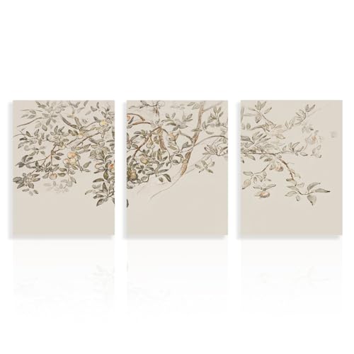 Dazzlewall 3 Stück Vintage Apfelbaum Leinwand Bilder, Rustikale Botanische Pflanzen Wandbilder für Schlafzimmer Wohnzimmer Dekor 30x40 cm Ungerahmt von Dazzlewall