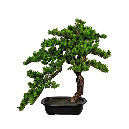 DbKW (50048) Bonsai Lärche Han-Kengai - Myrte - Kiefer, 40-110 cm. Kunstpflanze, Kunstbäume, Bonsaibaum von DbKW
