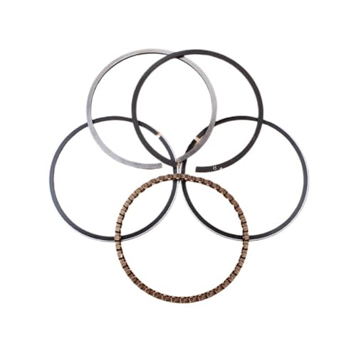 39 mm Kolbenringsatz passend for GX31 GX35 GX35NT UMK431 UMT431 UMK435 HHT35S Trimmer Freischneider 39 mm Kolbenringsatz passend for GX31 GX35 GX35NT UMK431 UMT431 UMK435 HHT35S Trimmer Freischneider von DbfiUoe