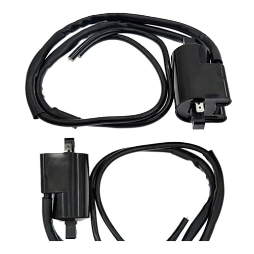 DbfiUoe Zündspule 12V Kompatibel RF600R R600W RF900R GSX400F GSX600FGSXR1100 GSX1100F GSX1100G GSX- GSX750 GSX750F GSXR750(2 Set) von DbfiUoe