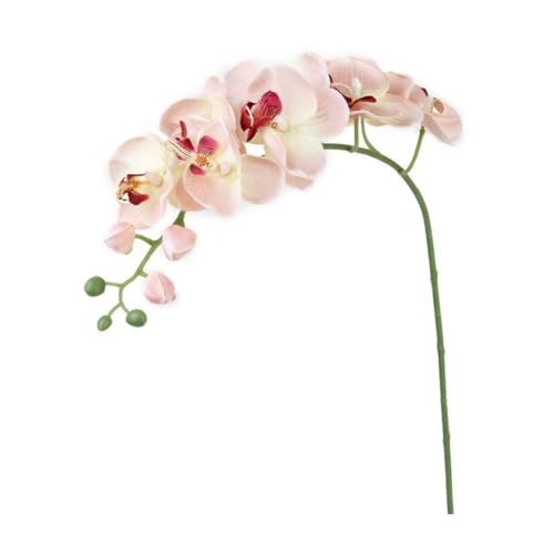 Künstliche Pflanzen Innenorchideenblume, künstliche Innenpflanzen Stamm falsche Seidenphalaenopsis, echte Berührungssimulation Schmetterling Künstliche Orchidee Künstliche Blumen in Töpfen Orchi von Dbvnnsy