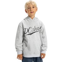 DC Shoes Kapuzensweatshirt "Substitute" von Dc Shoes
