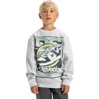 DC Shoes Sweatshirt "Manteca Tribute" DC Shoes Sweatshirt "Manteca Tribute" von Dc Shoes
